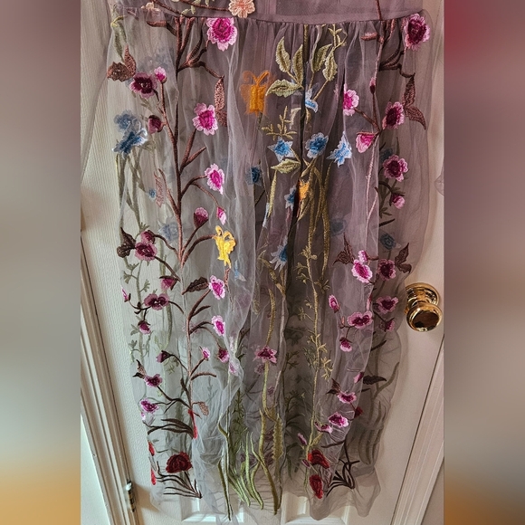 Floral Embroidered Sheer Dress - Picture 5 of 16